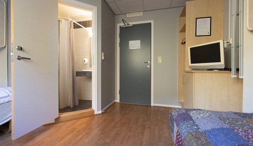 Basic Twin Room
