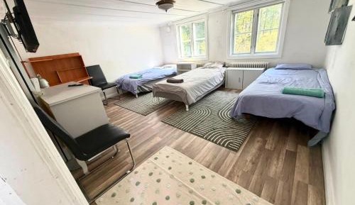 Basic Triple Room