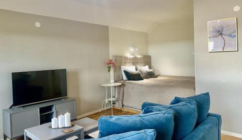 King Studio with Sofa Bed