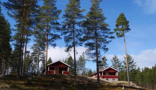 Cottage (4 Adults)