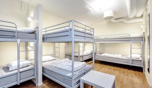 Bed in 12-Bed Mixed Dormitory Room