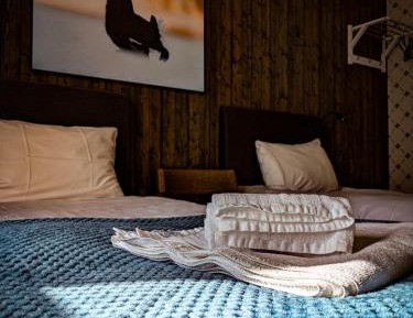 Deluxe Double or Twin Room with Mountain View