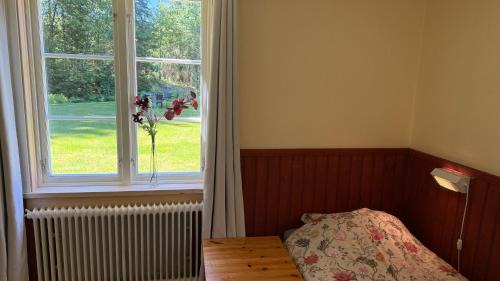 Single Room with Garden View