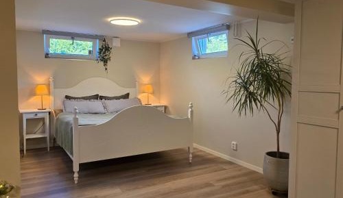 One-Bedroom Apartment - Non-Smoking