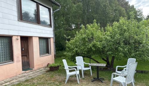 Three-Bedroom Apartment with Park View