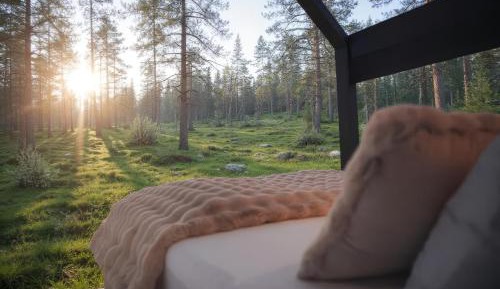 Studio with Garden View