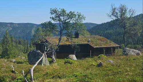 Three-Bedroom Chalet