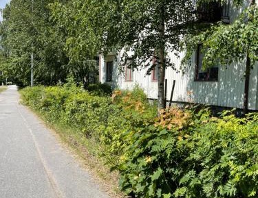 Single Room with Shared Shower and Toilet
