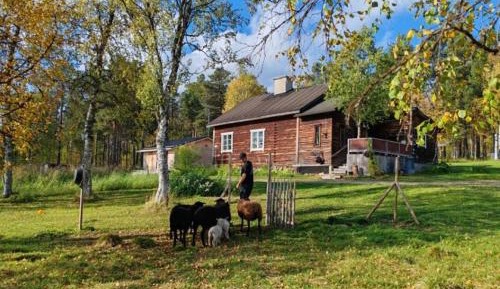 Two-Bedroom Chalet