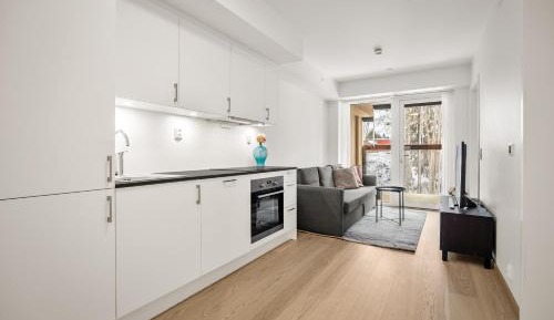 One-Bedroom Apartment