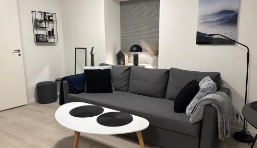 One-Bedroom Apartment with City View