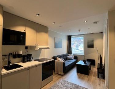 Deluxe One-Bedroom Apartment