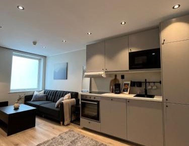 One-Bedroom Deluxe Apartment