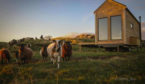 Mobile Home
