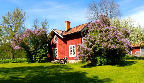 Standard Twin Room with Garden View
