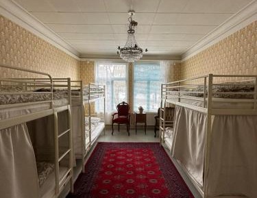Bunk Bed in Mixed Dormitory Room