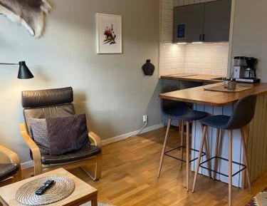 Studio Apartment