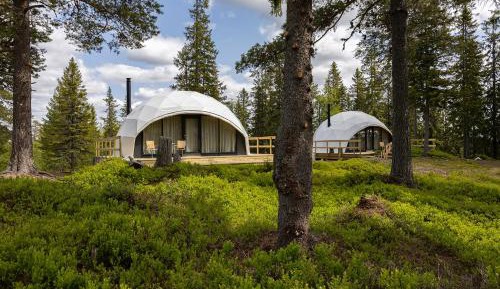 IGLOO Glamping