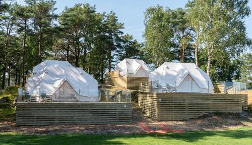 Glamping