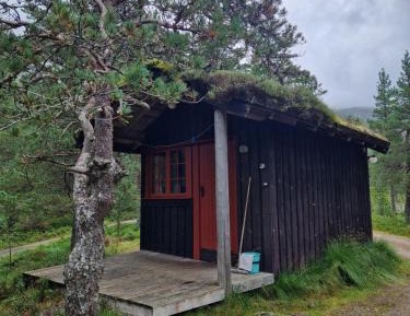 Cottage