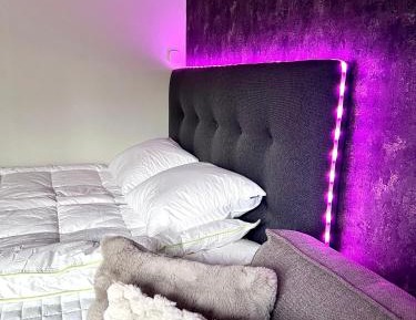 Deluxe One-Bedroom Apartment