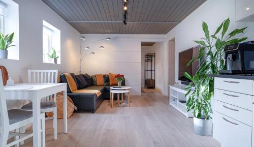 Two-Bedroom Apartment with View