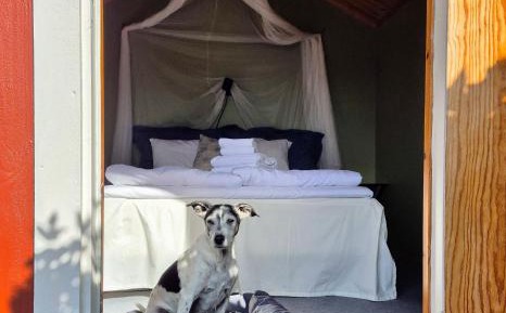 Double Room with Shared Toilet