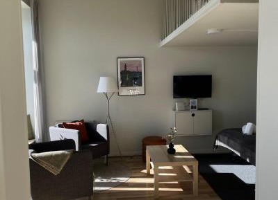Family Loft Studio Superior