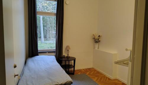 Single Room with Garden View