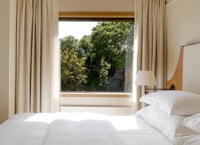 Superior Room with Park View