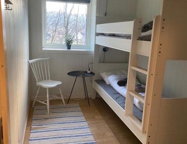 Bunk Bed in Mixed Dormitory Room