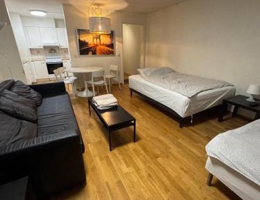 One-Bedroom Apartment with City View