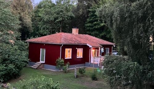 Family Studio