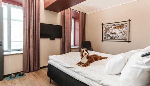 Standard Pet Room