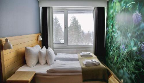 Standard Queen Room