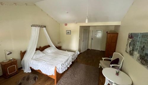 King Room with Roll-In Shower - Disability Access