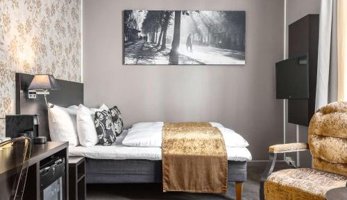 Superior Single Room