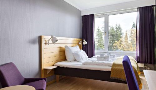 Single Room with Walk-In Shower - Mobility Accessible