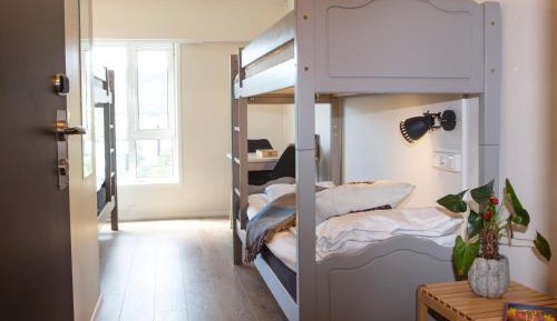 Bed in Male Dormitory Room
