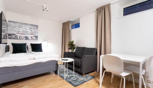 Studio Apartment Basement