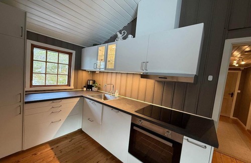 Hemne House | 8 person holiday home in Hellandsjøen