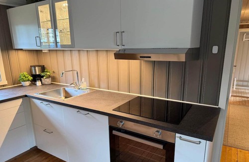 Hemne House | 8 person holiday home in Hellandsjøen