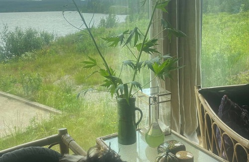 Verdal House | Exotic beach house in scenic Vera