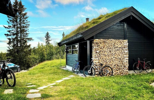 Al Municipality House | Upgraded family cabin at Sangefjell
