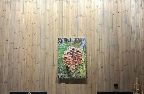 Luster House | Cabin embraced by extrairdinary nature