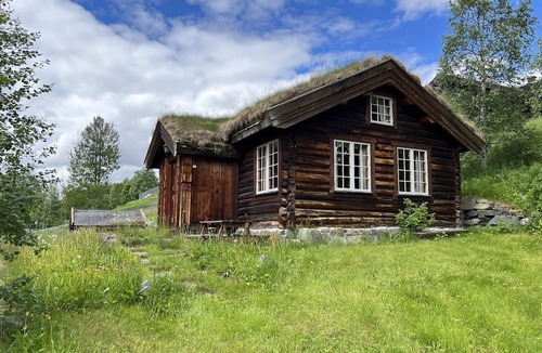 Al Cottage | Mountain cabin 3 in Ål with Sauna