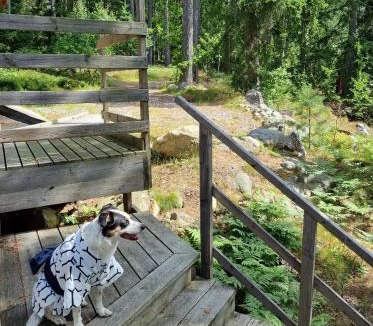 Trosa Cabin | Forest Lodge Ryokan
