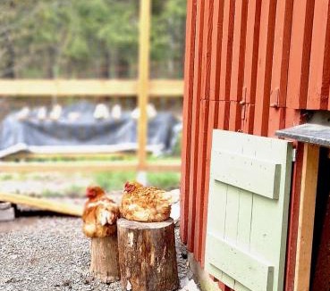 Saffle Municipality Ski Chalet | Tiny house Lugnet - forest and microfarm stay