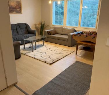 Vehmaa Ski Chalet | Nice house with big garden and bbq-terrace