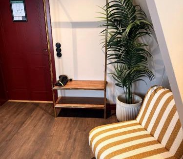 Hogberget-Centrum Apartment | Hotell Villan